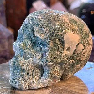 🎄SALE🎄Moss Agate Crystal Skull Carving!
